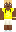 skin of a player