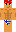skin of a player