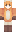 skin of a player