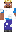 skin of a player
