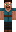 skin of a player