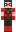 skin of a player