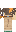 skin of a player