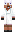 skin of a player