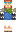 skin of a player
