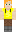 skin of a player