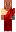 skin of a player