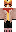 skin of a player