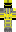 skin of a player