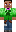 skin of a player