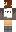 skin of a player