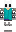 skin of a player