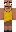 skin of a player