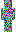 skin of a player