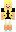 skin of a player