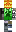 skin of a player