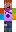 skin of a player