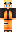 skin of a player