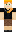 skin of a player