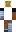 skin of a player
