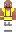 skin of a player