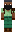 skin of a player