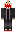 skin of a player