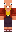 skin of a player