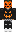 skin of a player
