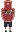 skin of a player
