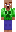 skin of a player