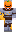 skin of a player