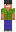 skin of a player