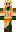 skin of a player