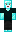 skin of a player