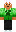 skin of a player