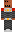 skin of a player