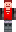 skin of a player
