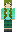 skin of a player