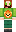 skin of a player