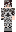 skin of a player