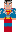 skin of a player