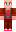 skin of a player