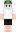 skin of a player