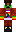 skin of a player