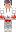 skin of a player