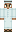 skin of a player