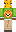 skin of a player
