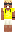 skin of a player