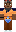 skin of a player